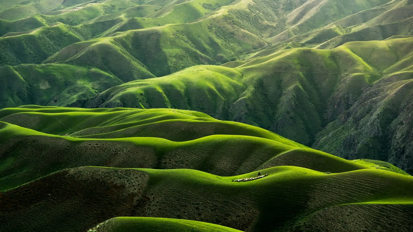 Rolling green hills seen from above, sunlight and shadow tracing the contours of the landscape