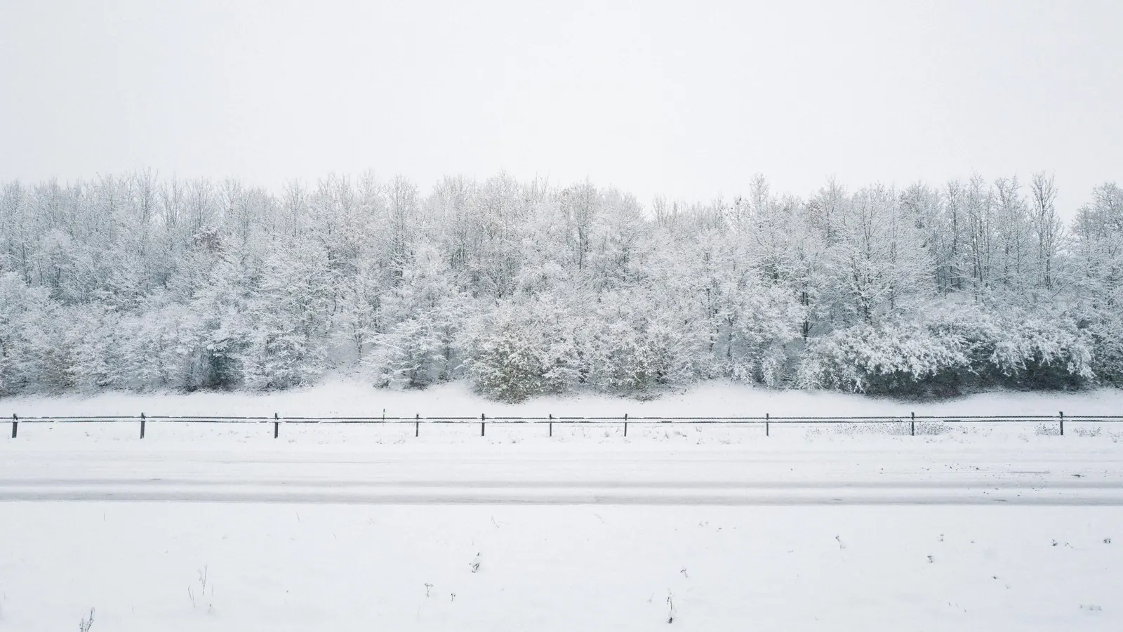 A snow-covered field with a fence line and frost-covered trees stretching across the horizon under a white winter sky