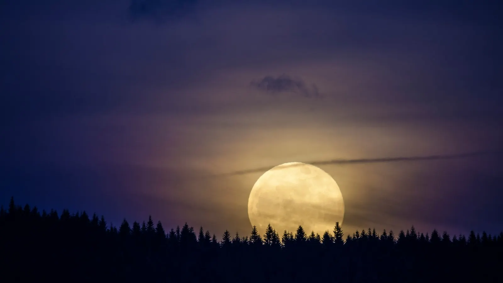 A full moon rising over a dark evergreen treeline at dusk, glowing through thin clouds