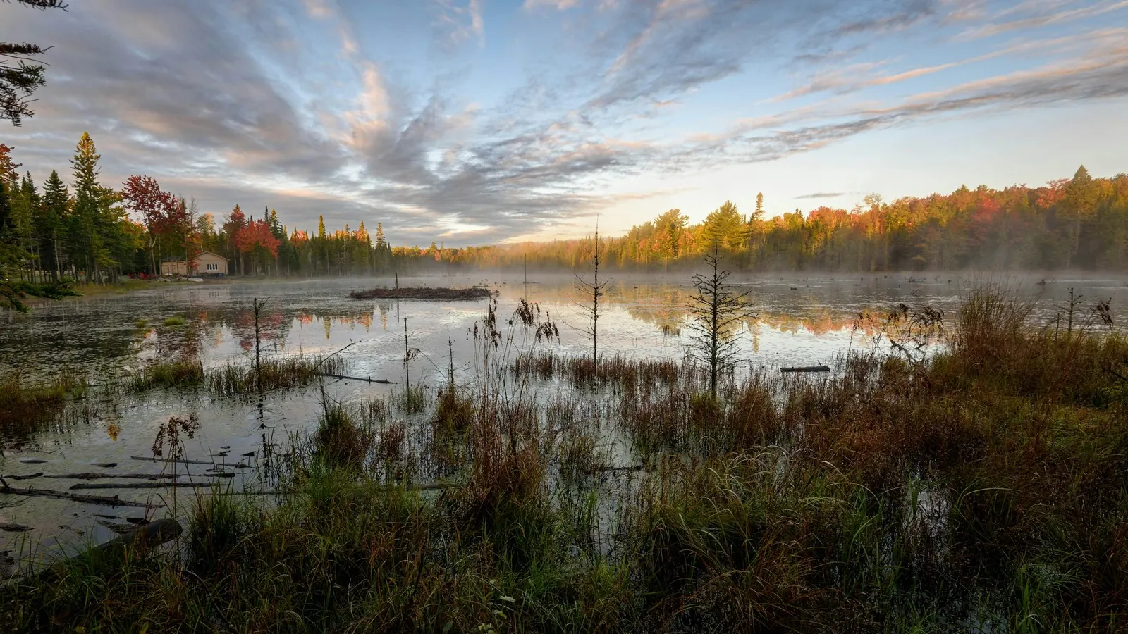 An Ontario wetland at sunrise, mist rising off still water with autumn-coloured maples and evergreens along the far shore